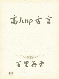 高hnp古言