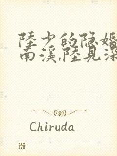 陆少的隐婚罪妻南溪,陆见深