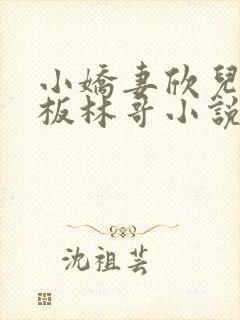 小娇妻欣儿和老板林哥小说免费阅读