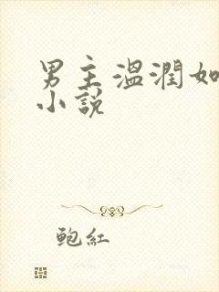 男主温润如玉的小说