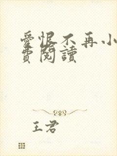 爱恨不再小说免费阅读