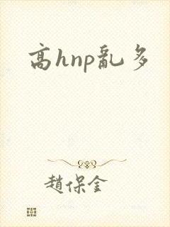 高hnp乱多