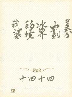 我的冰山美女老婆境界划分