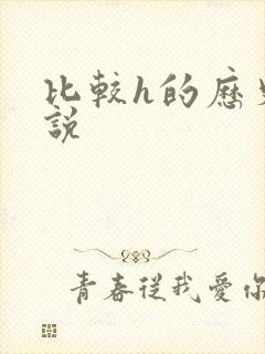 比较h的历史小说