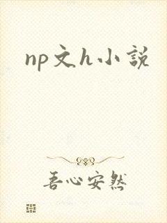 np文h小说