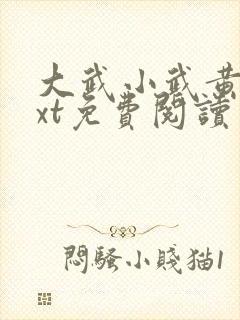 大武小武黄蓉txt免费阅读