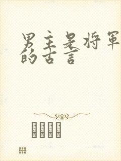 男主是将军很虐的古言