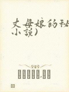 丈母娘的秘密(小说)