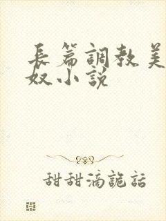 长篇调教美妇为奴小说封面