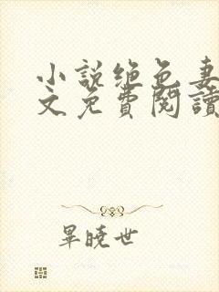 小说绝色妻子全文免费阅读封面