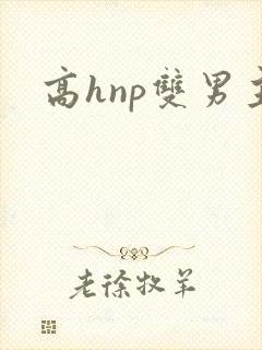 高hnp双男主