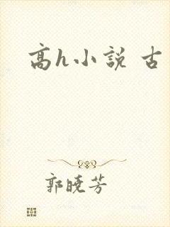 高h小说 古言