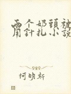 两个奶头被主人用针扎小说封面