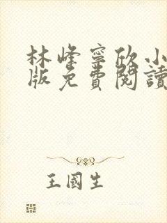 林峰宁欣小说正版免费阅读全文