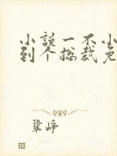 小说一不小心捡到个总裁免费阅读全文