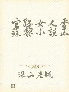 官路女人香聂飞苏黎小说正版全文下载