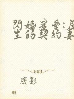 闪婚蜜爱:厉先生的契约妻