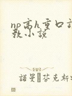 np高h重口调教小说