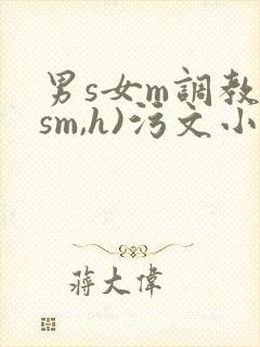 男s女m调教(sm,h)污文小说封面