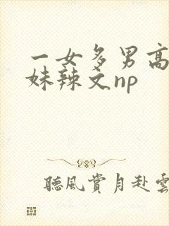 一女多男高h兄妹辣文np封面
