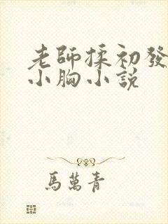 老师揉初发育的小胸小说