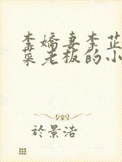 李娇妻李芷珊和菜老板的小说封面