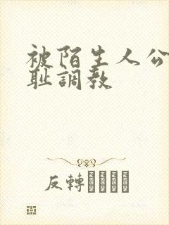 被陌生人公开羞耻调教封面