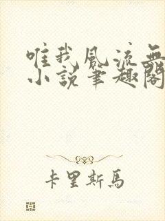 唯我风流无删节小说笔趣阁封面