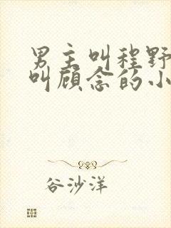男主叫程野女主叫顾念的小说