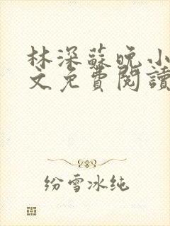 林深苏晚小说全文免费阅读