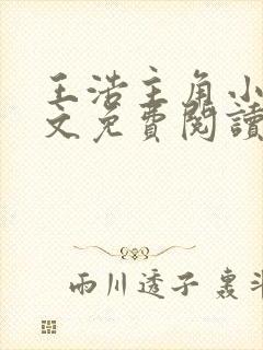 王浩主角小说全文免费阅读广袤