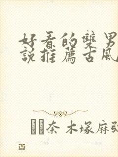 好看的双男主小说推荐古风