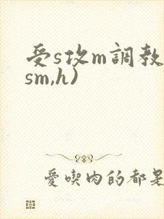 受s攻m调教(sm,h)封面