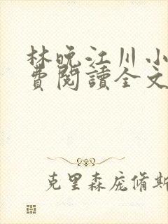 林晚江川小说免费阅读全文最新章节