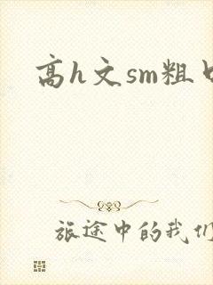 高h文sm粗口封面
