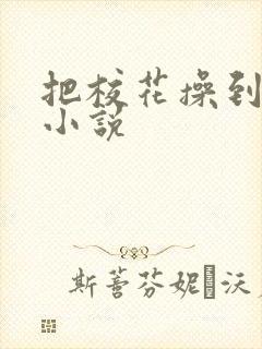 把校花操到高潮小说