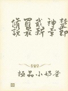 修罗武神楚枫小说最新章节精校版