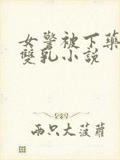 女警被下药玩弄双乳小说