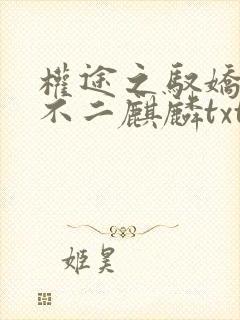 权途之驭娇有术不二麒麟txt无删减