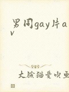 男同gay片av