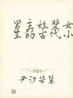 男主姓裴女主重生的古代小说