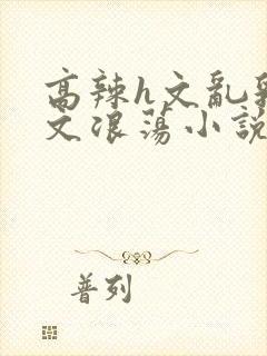 高辣h文乱乳h文浪荡小说苏柔