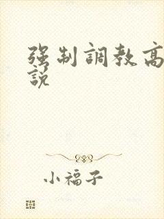 强制调教高h小说