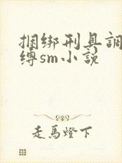 捆绑刑具调教束缚sm小说