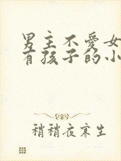 男主不爱女主却有孩子的小说