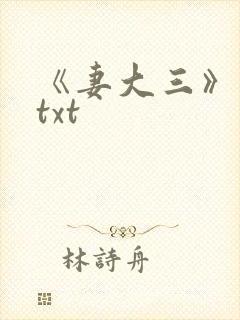 《妻大三》小说txt