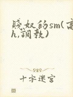 贱奴的sm(高h,调教)