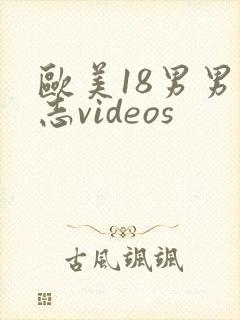 欧美18男男同志videos