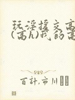 玩淫援交高中生(高h)我的高中援交日封面