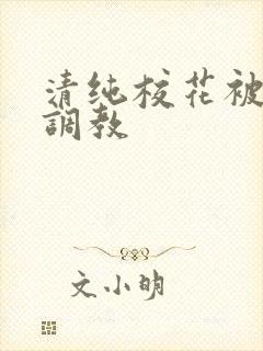 清纯校花被民工调教